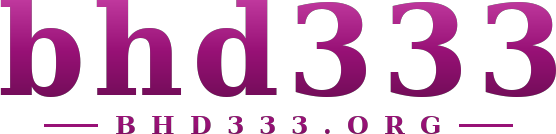 bhd333 logo